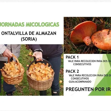 Descanso, Aire Sano Y Buenos Asados *