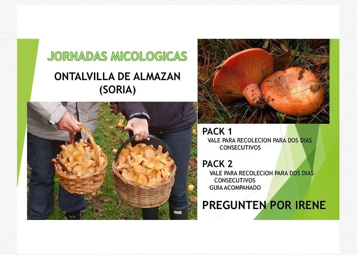 Descanso, Aire Sano Y Buenos Asados *